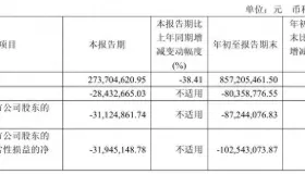 “止血”失败？塞力医疗前三季亏损扩大，计提信用减值超2000万元