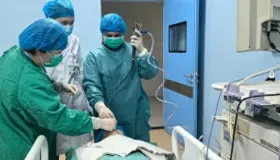 克拉玛依凭什么深化国际合作？跨境医疗、算力及绿色能源领域怎么做？