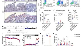 南京大学团队新发现：气单胞菌新亚种或为溃疡性结肠炎元凶，有何突破与前景？