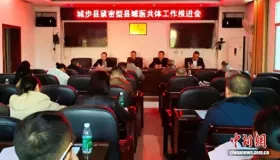 城步县如何深化医改惠民生？医共体、标准化建设与便民服务有哪些成效？