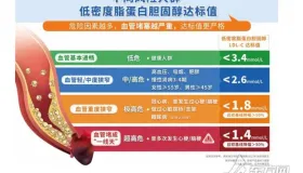 上海优化血脂管理项目落地社区，能否补齐基层短板并降低心血管事件风险？