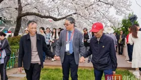 樱花下的生命重生！协和医院肺移植患者联谊 术后5年患者漫步赏樱