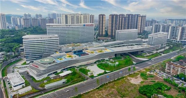 川南区域医疗中心:创新引领,构筑医疗新高度 川南区域医疗中心:创新引领,构筑医疗新高度