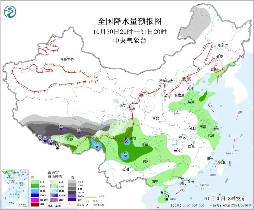 坚果的最佳食用时间是早上！建议与这些食物配着吃……一起来听健康早闻！2025 年 10 月 31 日