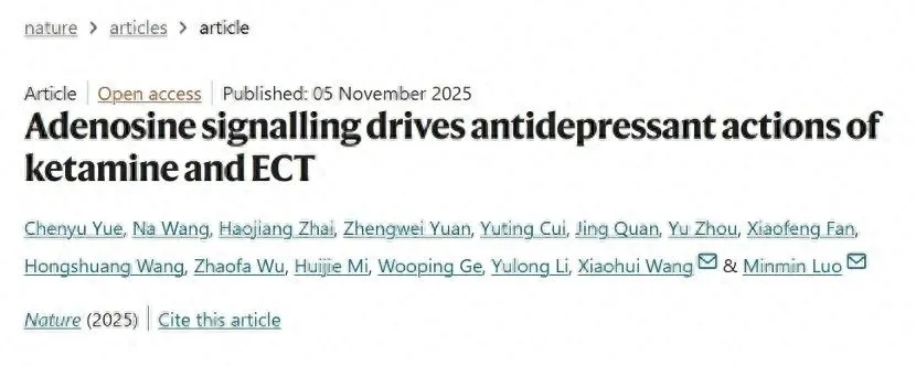 重大突破！中国科学家揭秘抗抑郁疗法机制，为全球患者带来新希望