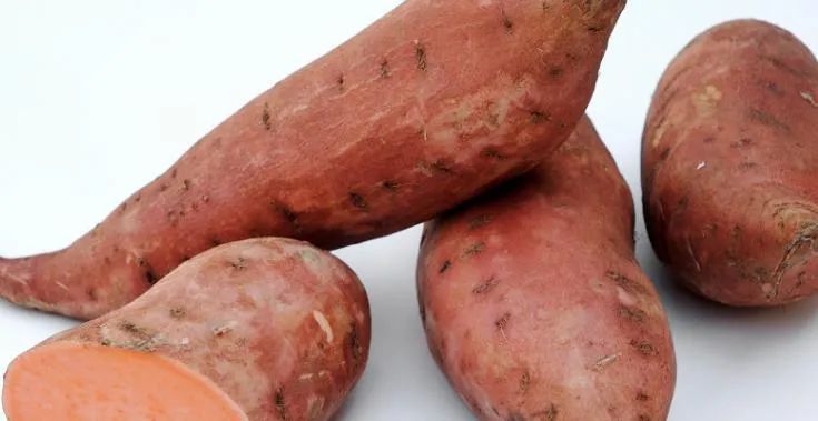 “主食越少越好”为何是误区？主食对健康有何重要作用，又该如何科学选择？