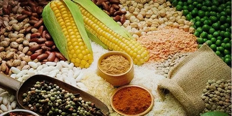 为何“主食越少越好”观念不可取？从健康风险到科学选择，主食该怎么吃？