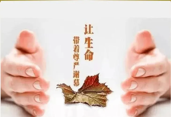 疼痛和死亡哪个更可怕？从医学角度看如何应对疼痛与死亡？