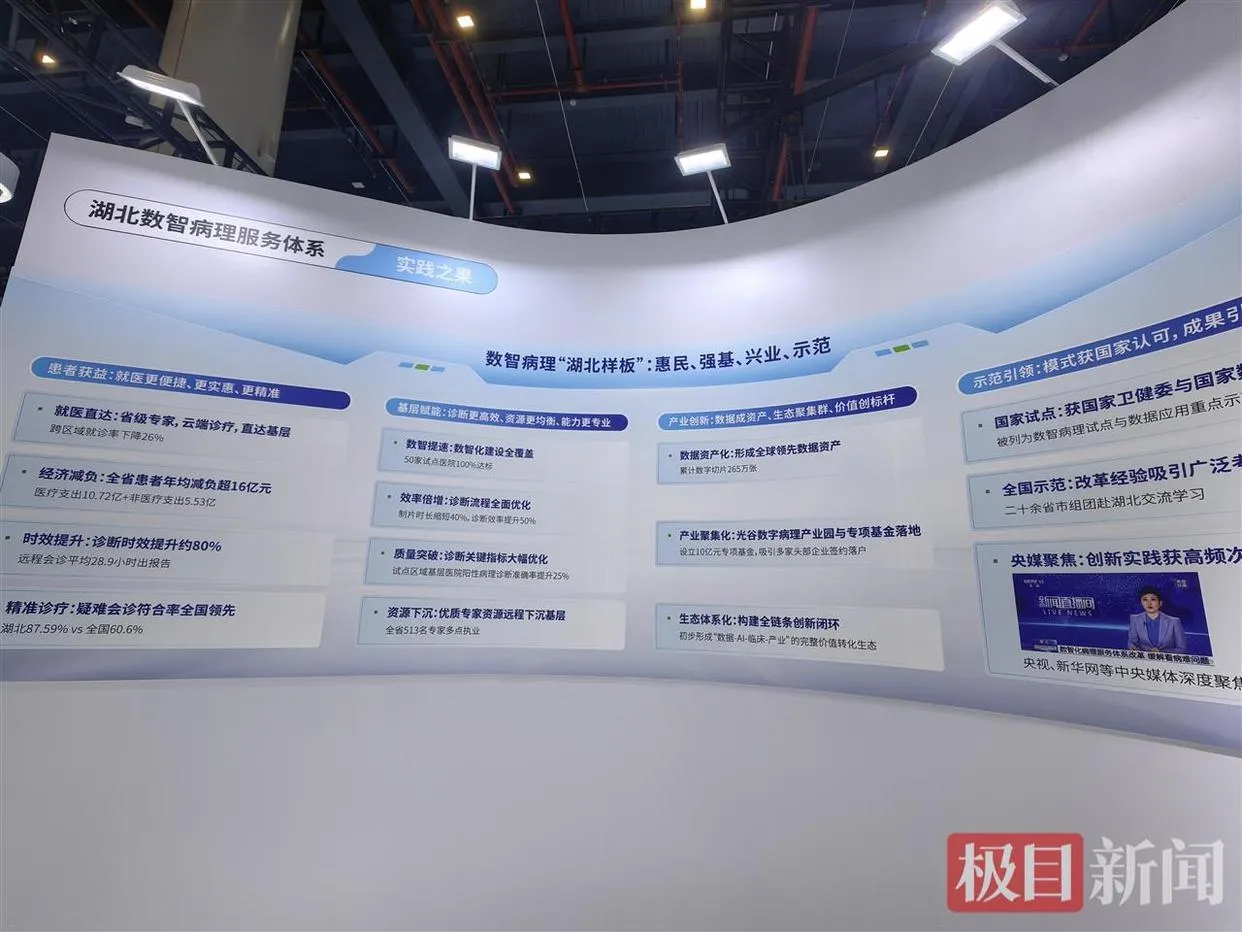 数智病理破局重生 湖北模式为全国医疗 AI 立标杆