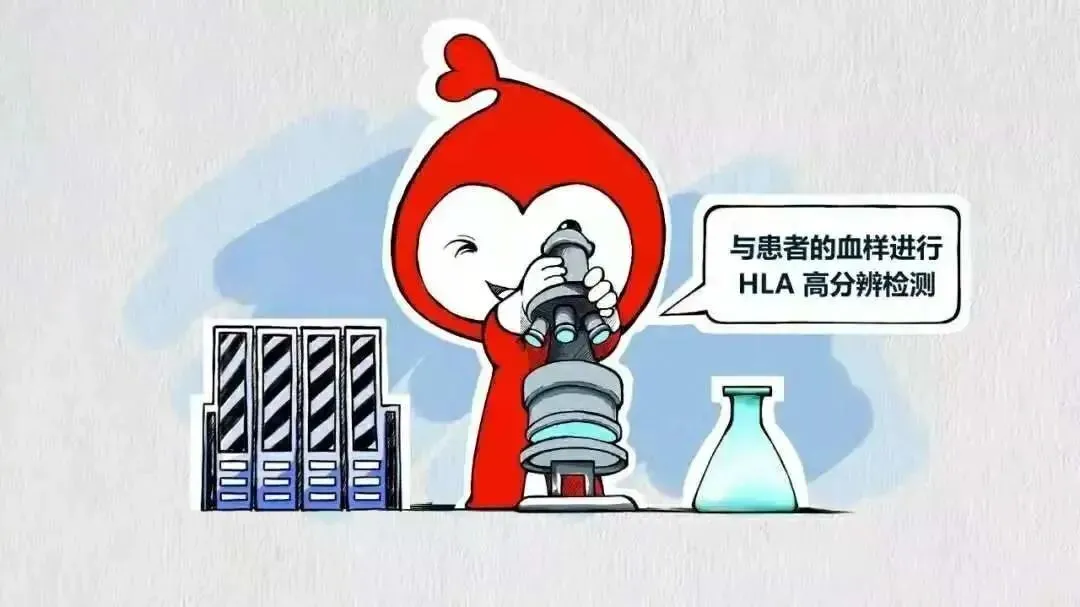 “生命接力”在松江：21 年间 53 例造血干细胞捐献者背后的温情集结