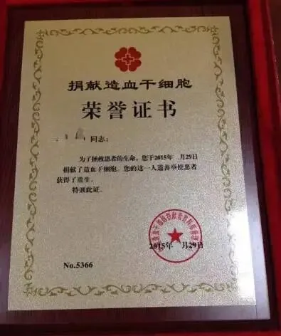 “生命接力”在松江：21 年间 53 例造血干细胞捐献者背后的温情集结