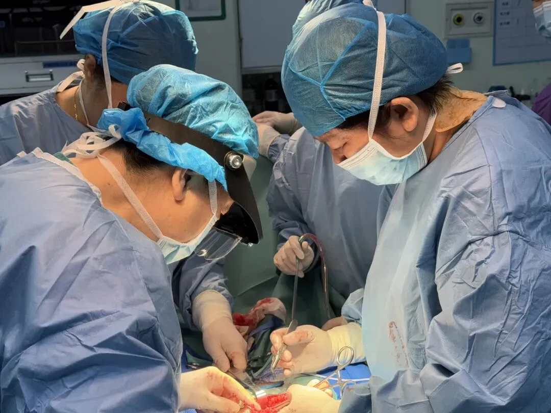 痛经 23 年、血崩至重度贫血，被建议切除子宫！她跨国求医，医生剔除 656 个肌瘤保住子宫