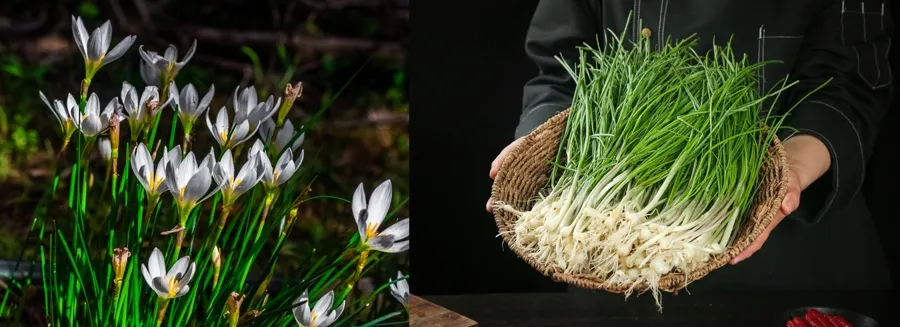 公募基金总规模达 38.61 万亿元 首破 38 万亿并连续 11 个月创历史新高