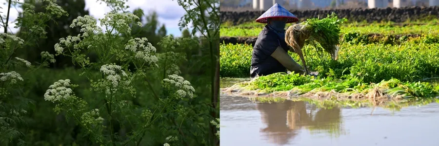 公募基金总规模达 38.61 万亿元 首破 38 万亿并连续 11 个月创历史新高