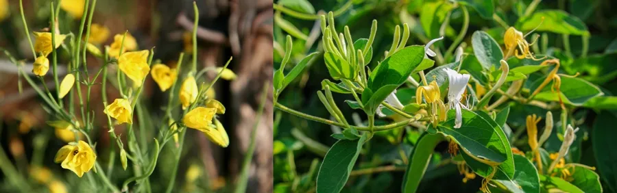 公募基金总规模达 38.61 万亿元 首破 38 万亿并连续 11 个月创历史新高