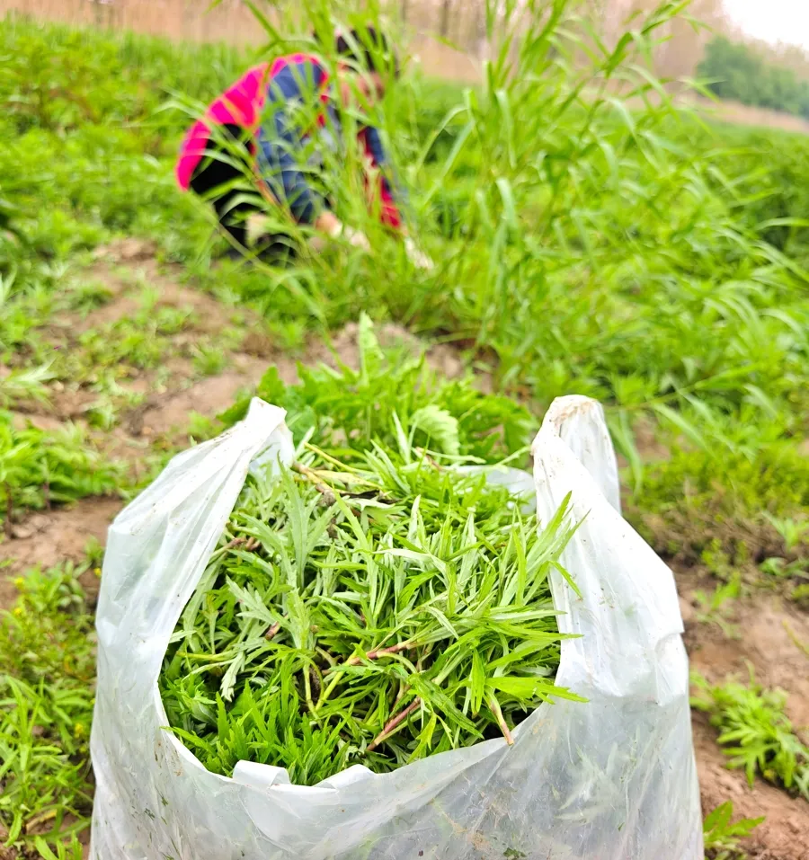公募基金总规模达 38.61 万亿元 首破 38 万亿并连续 11 个月创历史新高