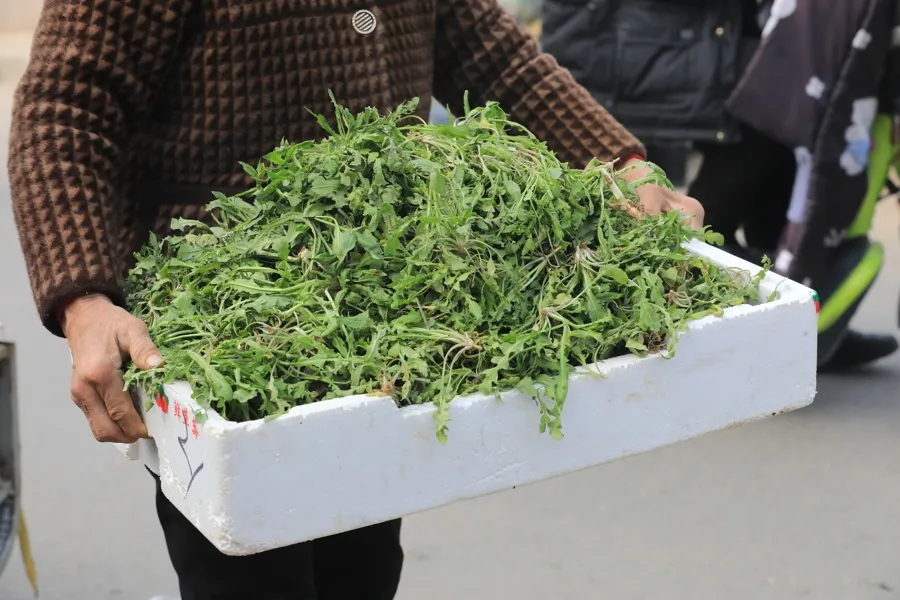 公募基金总规模达 38.61 万亿元 首破 38 万亿并连续 11 个月创历史新高