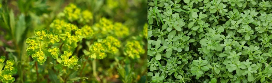 公募基金总规模达 38.61 万亿元 首破 38 万亿并连续 11 个月创历史新高