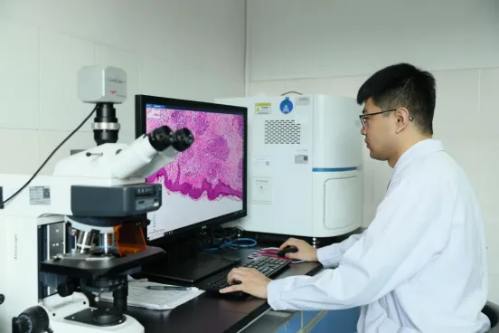 ICH E6 (R3) 临床试验国际标准强制执行